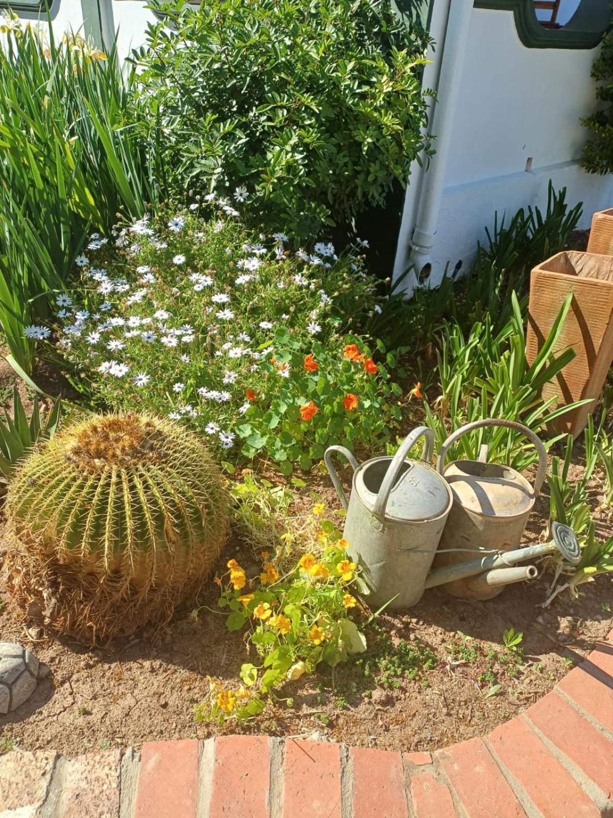 De Oude Yotclub Oudtshoorn Exterior foto